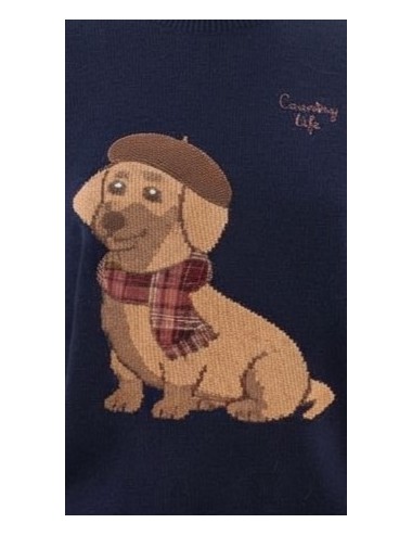 Maglia